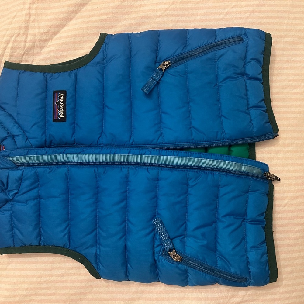 Patagonia Blue Puffer Vest